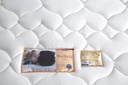 Sheffield Spring + Foam Mattress - 10&quot;