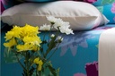 Midas Isabel Collection : MI-40A