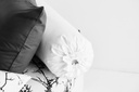 Lotus Black &amp; White - KS Fitted Bedsheet Set-5pcs - LI-BW-04W