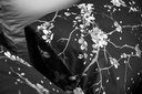 Lotus Black &amp; White - QS Fitted Bedsheet Set-5pcs - LI-BW-04B
