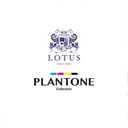 Lotus Plantone - QS Fitted Bedsheet Set-5pcs - LCT-PT-11