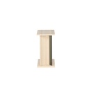 Frigo End Table
