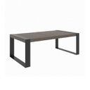 Fania-C Coffee Table-Dark Grey Steel/Natural Wood