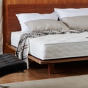 Euphorbia - Spring Mattress - Firm - 9&quot;