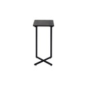 Monic End Table