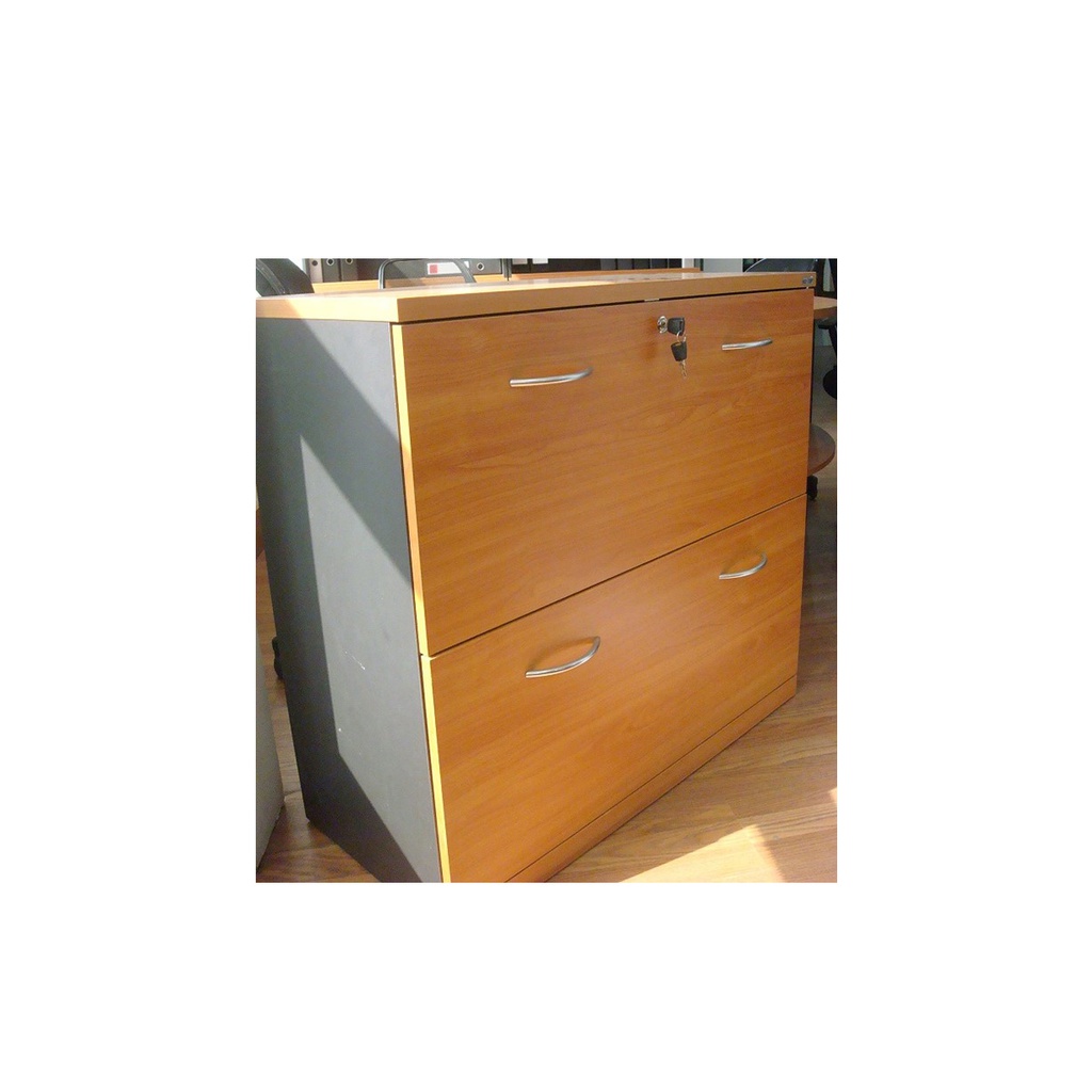 Brain(SA) Cabinet LC098-F - DG/Cherry