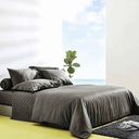 Lotus Plantone - QS Fitted Bedsheet 100% Cotton - LCT-PT-03
