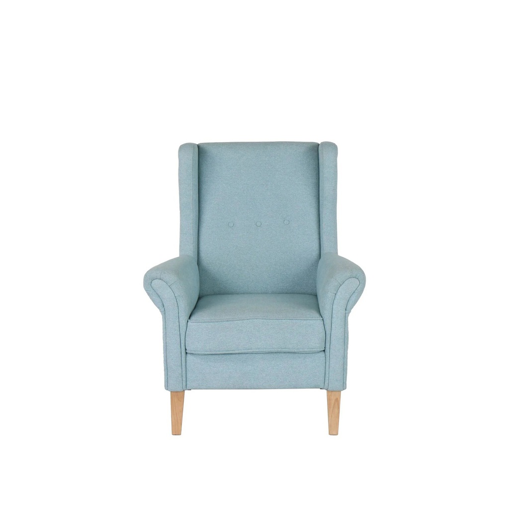 Hence  Arm Chair-Natural/Green