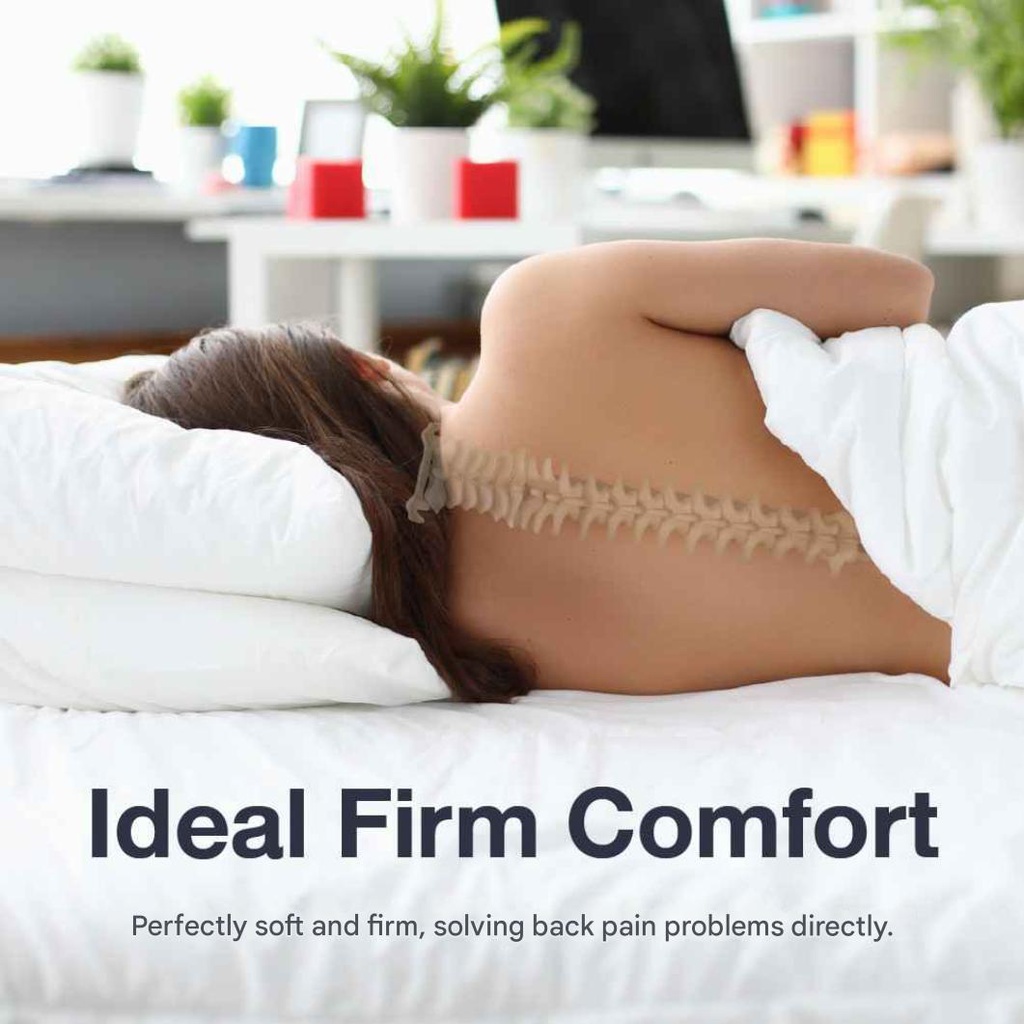 Lotus - Intel I - 5ft x 6.5ft - 8"