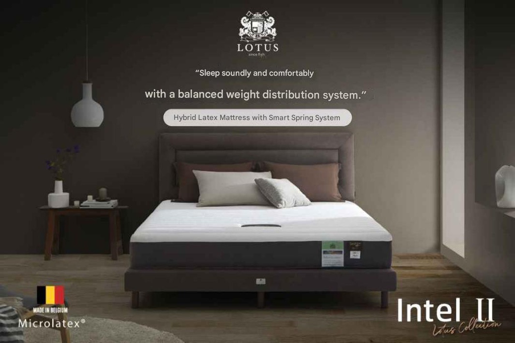 Lotus - Intel II - 5ft x 6.5ft - 8"