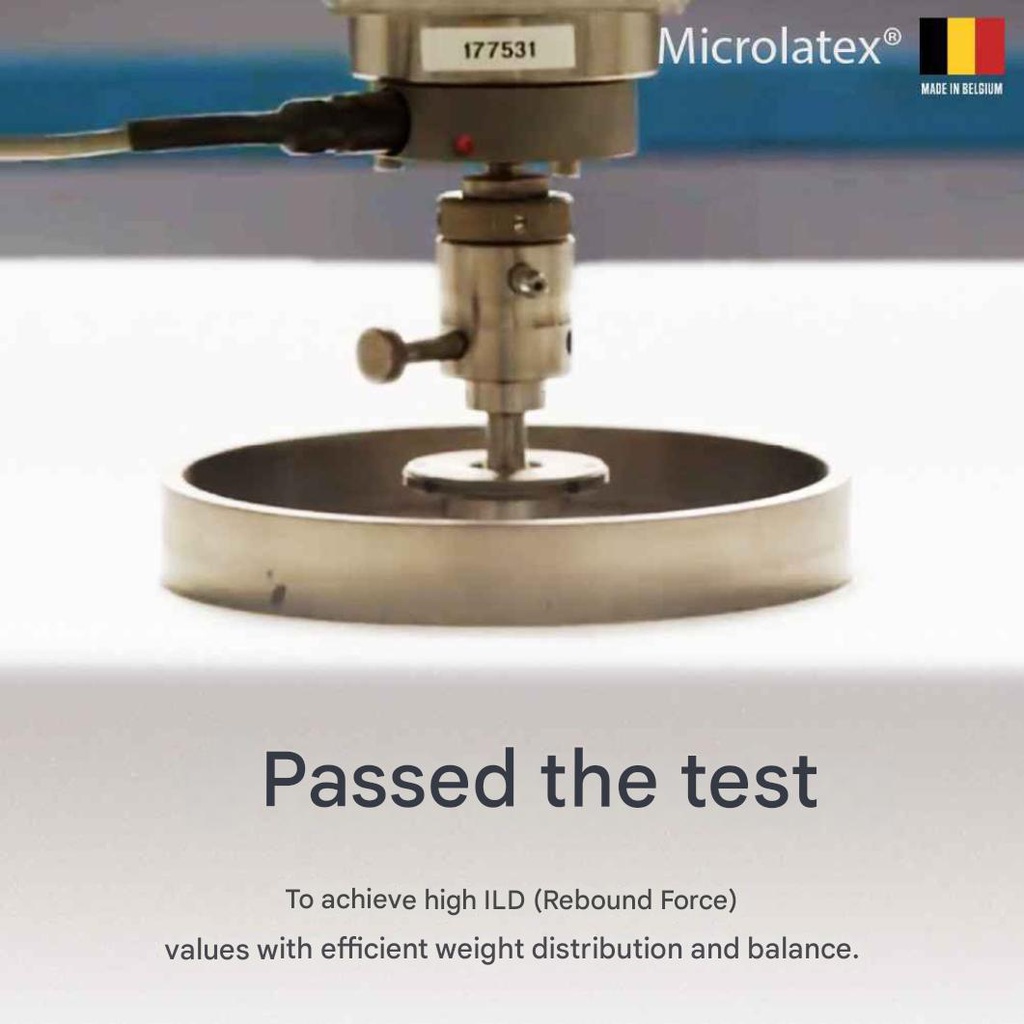 Lotus - Intel II - 5ft x 6.5ft - 8"